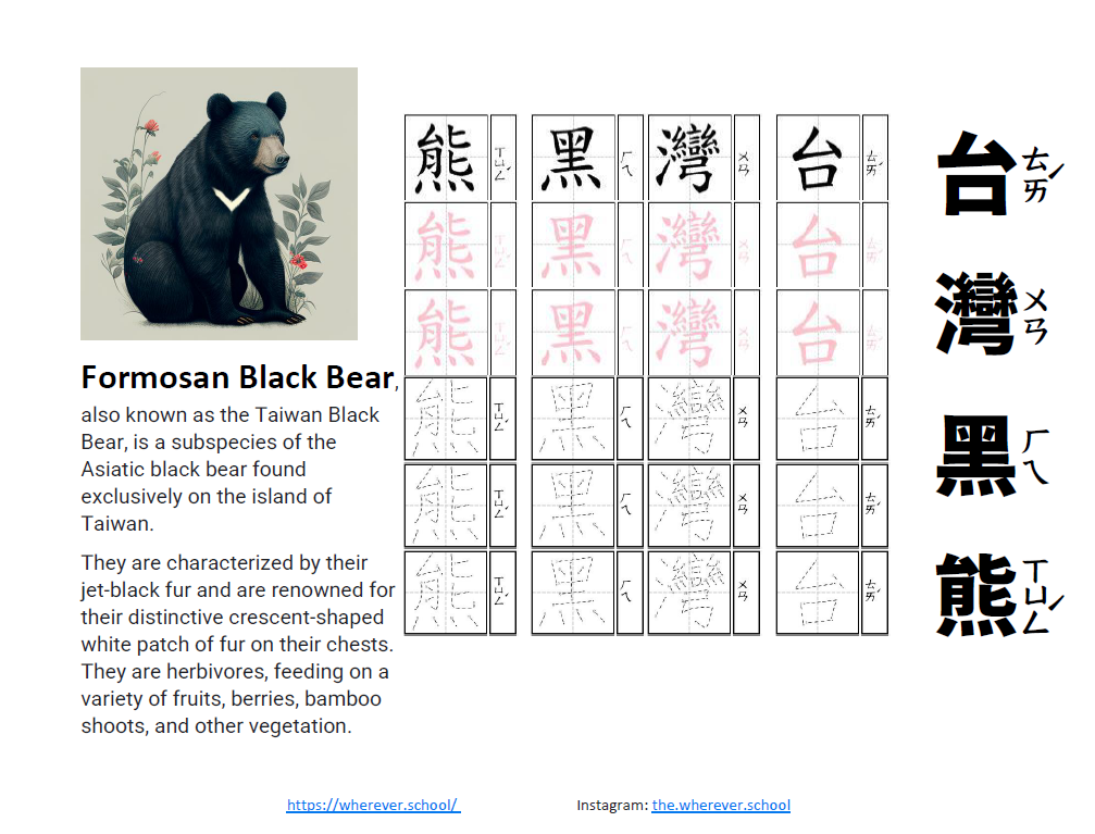 Formosa Black Bear 台灣黑熊